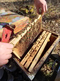 20240205_125446 20240205_125446